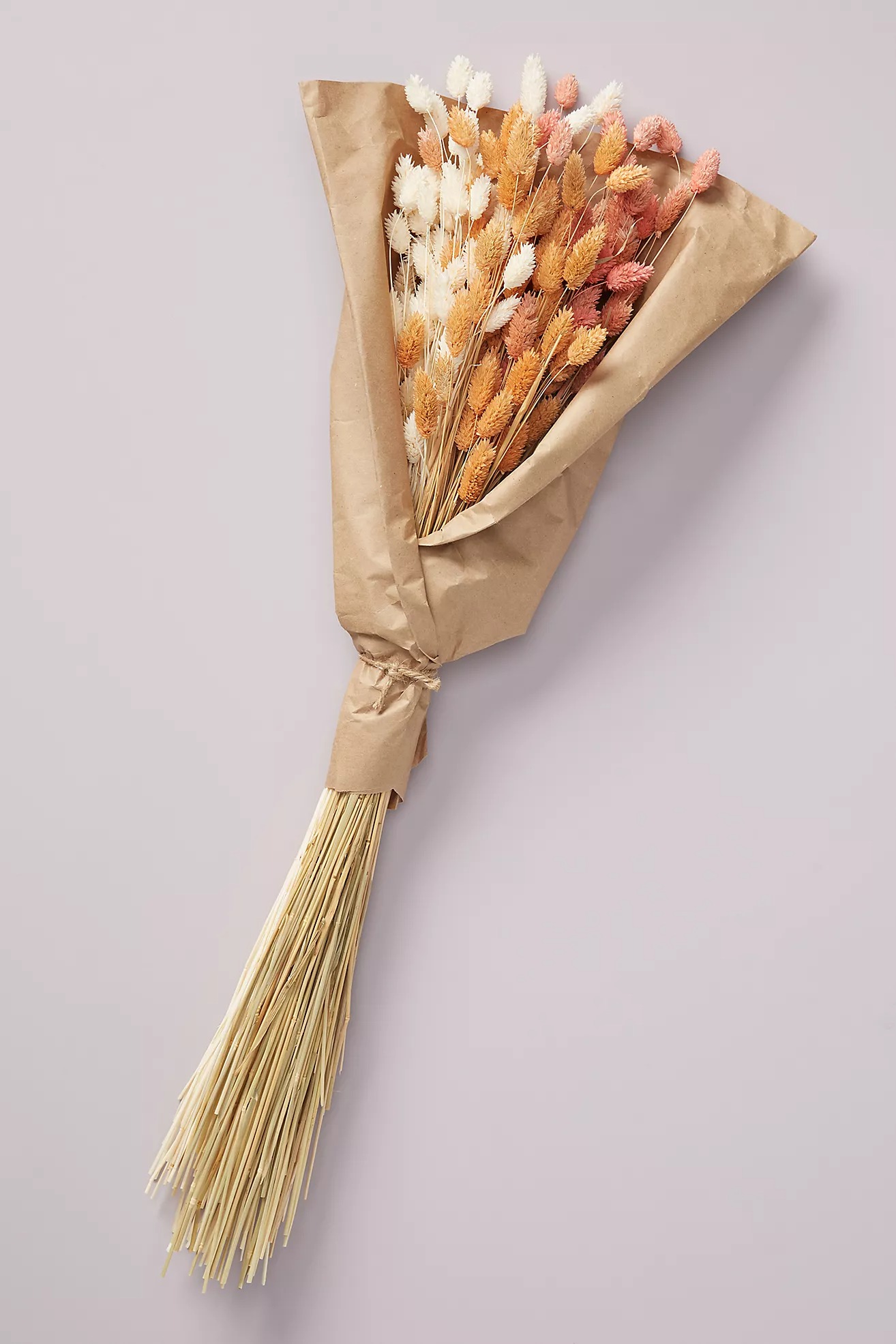 neutral tone blush dried and preserved phalaris dried flower bouquet you can buy online from Anthropologie