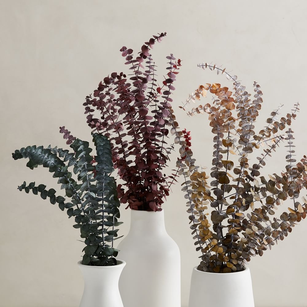dried eucalyptus arrangements in vases from West Elm