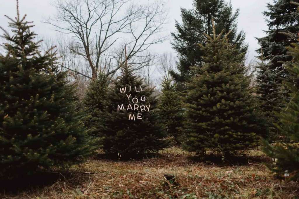 signage on a conifer rustic best Christmas wedding ideas