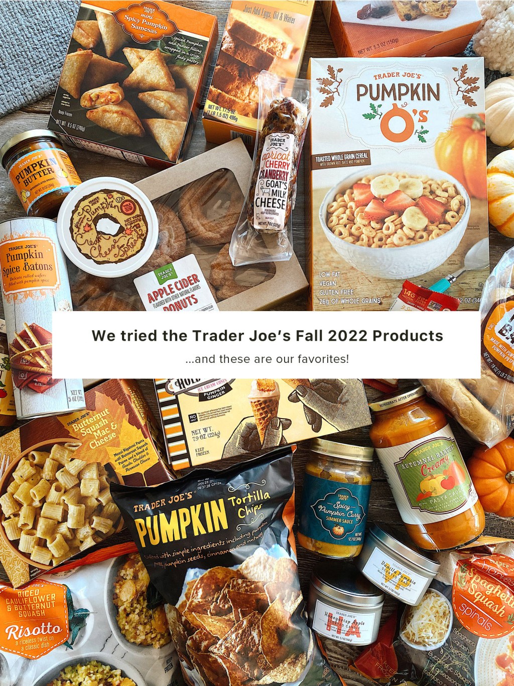 trader joes best fall items 2022
