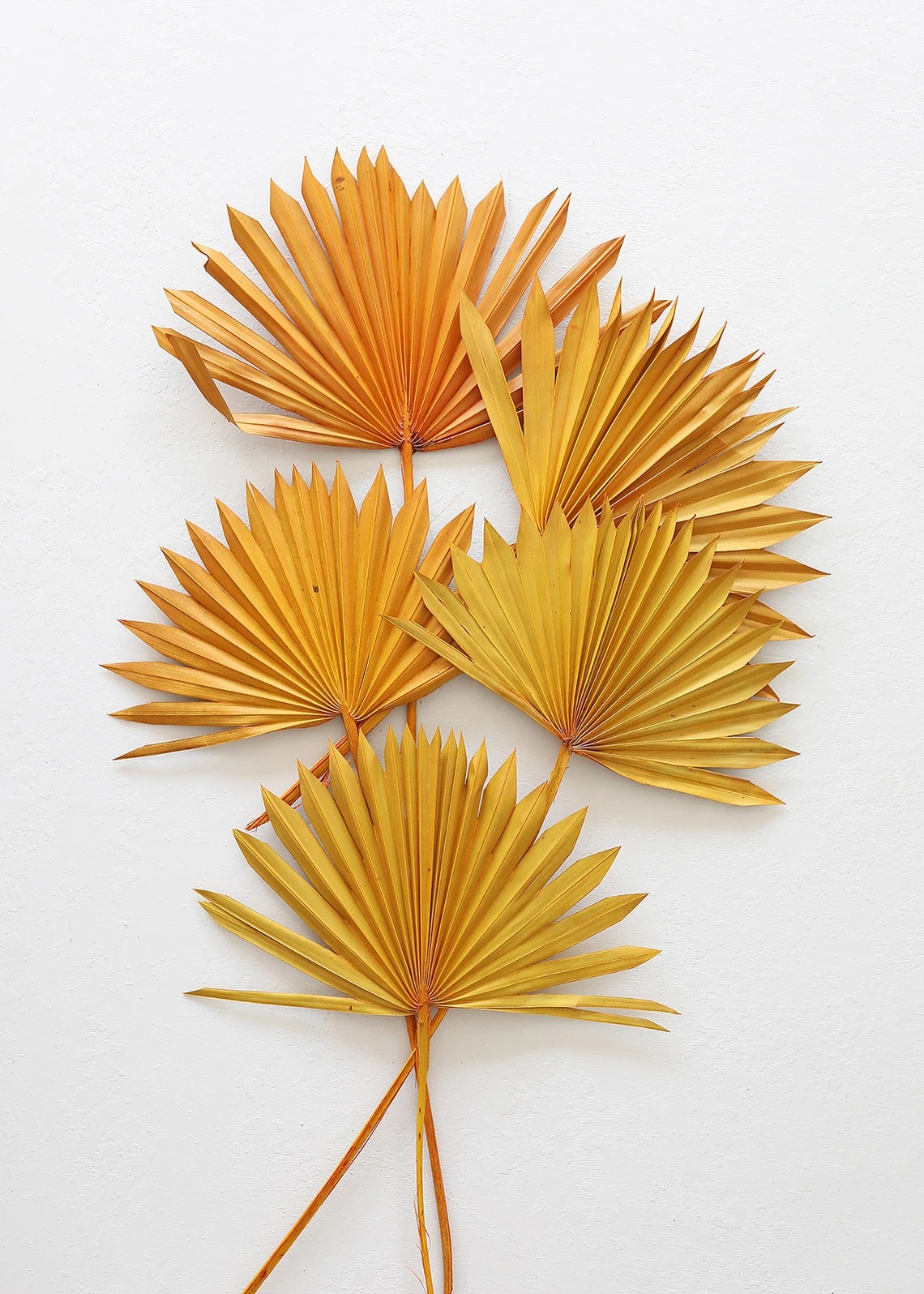 Afloral sunset sun palm dried flowers set of 5 that you can buy online