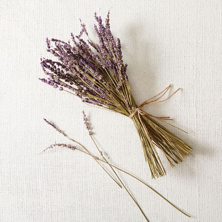 bunch of dried lavender flowers you can buy online from West Elm