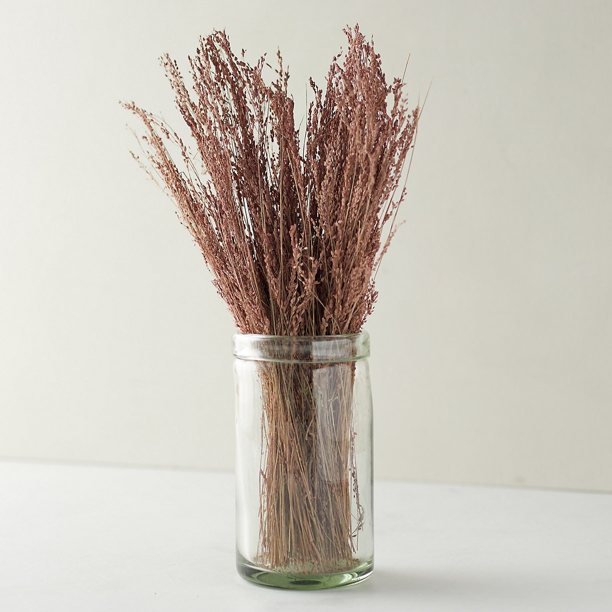 blush preserved star grass dried flowers bunch from Terrain